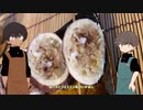 #03 松イカとジャスミン米のいかめし