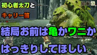 【モンハンライズ】ヨツミワドウくんは結局どの動物の仲間なのか【笛支援部】