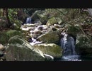 【自然音】野呂山の小川【広島県呉市】