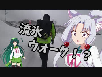 ちょっとそこまでぶらり旅　2019年2月　知床流氷ツアー　前編