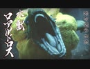 ヌコとワンコと叔父さんの狩猟生活Part11
