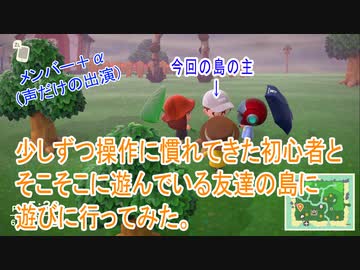 操作に慣れてきた初心者が友達の島に遊びに行った【まじめくんの島】