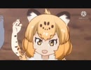 新しいジャガが来た