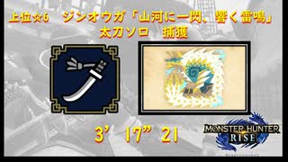 【モンハンライズ】上位６ジンオウガ　太刀ソロ捕獲　3'17"21/ Zinogre LS Solo 【MHRise】