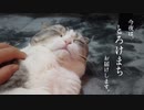今夜はとろけまちお届けします。