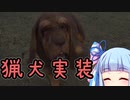 【theHunter:CotW】ハンター葵と猟犬茜＃13【琴葉茜・葵】