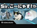悪の組織が猫に！猫を声福するための作戦がはじまる