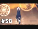 【実況Hollow Knight】この虫の世界、王の威厳とは？　#38 新エリア【ホロウナイト】
