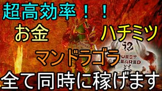 【モンハンライズ】超高効率金策！！溶岩洞マラソンルートのルート開拓！～ハチミツとマンドラゴラを添えて～【ゆっくり実況】