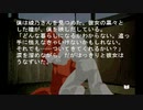 sc^念願の高２→将軍を初プレイ実況　９２