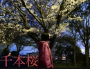 【Len】千本桜　踊ってみた【JC1最後の日】