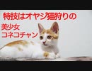 美少女な子猫、オヤジ狩りに目覚める