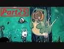 【実況】小さなムシの冒険譚　ホロウナイトpart25