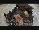[ガレキ処女航海出航]タランチュラ飼育日記その１３９[メイデンボヤージュかましたった]