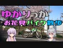 【VOICEROID/CeVIO AI車載】ゆかりっかのお花見バイク散歩
