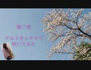 【アルトサックス】桜ノ雨/absorbを吹いてみました。