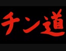 【エイプリルフール】引退かと思いきやチン道【お笑い系Vtuber】