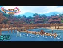 PC版【ドラクエ11S】友人から誕生日祝いに頂いたドラゴンクエスト11Sを完全初見プレイ Part25【ゲーム実況】