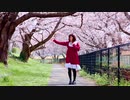 【ももかん】 流星ダイアリー  踊ってみた　【桜の中で】