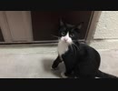 無条件の波動３７６　～愛の波動を感じて～
