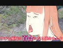 浮世絵茜はひた走る 腐道酷道編 part3 府道50号線 嵯峨野ー保津峡