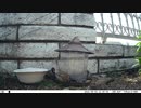 トレイルカメラで雀撮ってみた　20210401