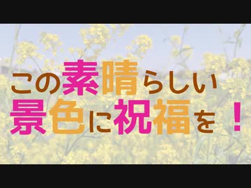 この素晴らしい景色に祝福を！【2021】　岩槻城址公園