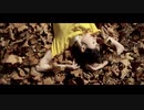 George Harrison - What Is Life (Official Music Video)