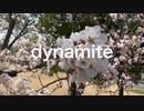 dynamite