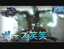 ダサいポーズなトビカガチさん【モンスターハンターRise  ♯15】