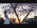 【みゆ】さようなら、花泥棒さん【踊ってみた】
