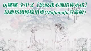 Dj娜娜 全中文【原谅我不能给你承诺】最新伤感慢摇串烧(Mafumafu音质版)