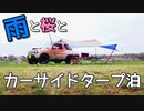 桜雨の中キャンプ飯を楽しむ！【VOICEROIDキャンプ】