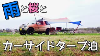 桜雨の中キャンプ飯を楽しむ！【VOICEROIDキャンプ】