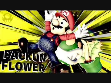 サン サ ベリア１３