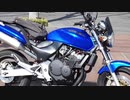 【バイク】第２回・川越街道編【ついなちゃん車載動画】