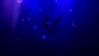 【静止画MAD】色褪せた世界、色付く君と。【ゼロカラオボレルイセカイセイカツ】