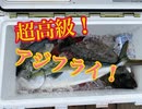 海上釣り堀で高級魚祭り！後編【もっち釣動組合♯８２】