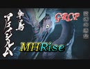 【MHRise】復帰勢コンビの狩猟譚Part1【アケノシルム】