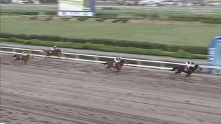 2021年4月1日浦和競馬11R ’２１　武蔵国（むさしのくに）オープン(準重賞) センチュリオン