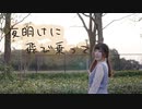 【リリコ】夜明け前に飛び乗って【踊ってみた】