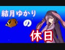 【VOICEROID実況プレイ】結月ゆかりの休日【アクアノートの休日】