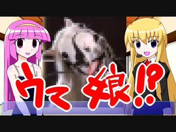 語るの？アリサ！ただいま！Pシー子ランド♡四月ウマ鹿