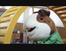 PUIPUIモルカーは子供を泣かせます！