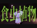 【あかねはづき】食虫植物【踊ってみた】