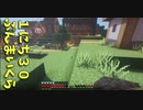【Minecraft/#ぷんくら】村の安全確保に努めます！昨日買ってきた石の話【126日目】