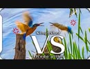 0331B1【カワセミふわふわバトル】小さな猛禽モズ鳴き声。捕食カルガモ。鳩の求愛。スズメ夫婦。鯉の産卵。バン、オオバン。　鶴見川水系恩田川でコンデジ野鳥撮影　#身近な生き物語　#カワセミ　#野鳥
