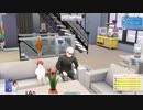 コレクションアイテム全部集めます！【The Sims4】#7