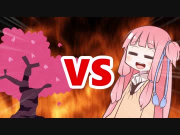 茜ちゃんVSお花見