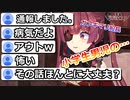 船長のOUTなショタコントークに視聴者が怯え困惑する…【ホロライブ/宝鐘マリン】